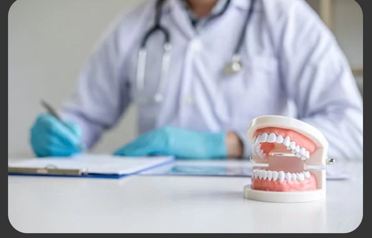 Dentista da Cassol Odontologia atendendo com modelo de arcada dentária sobre a mesa